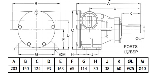Импеллерный насос 1½” BSP порт